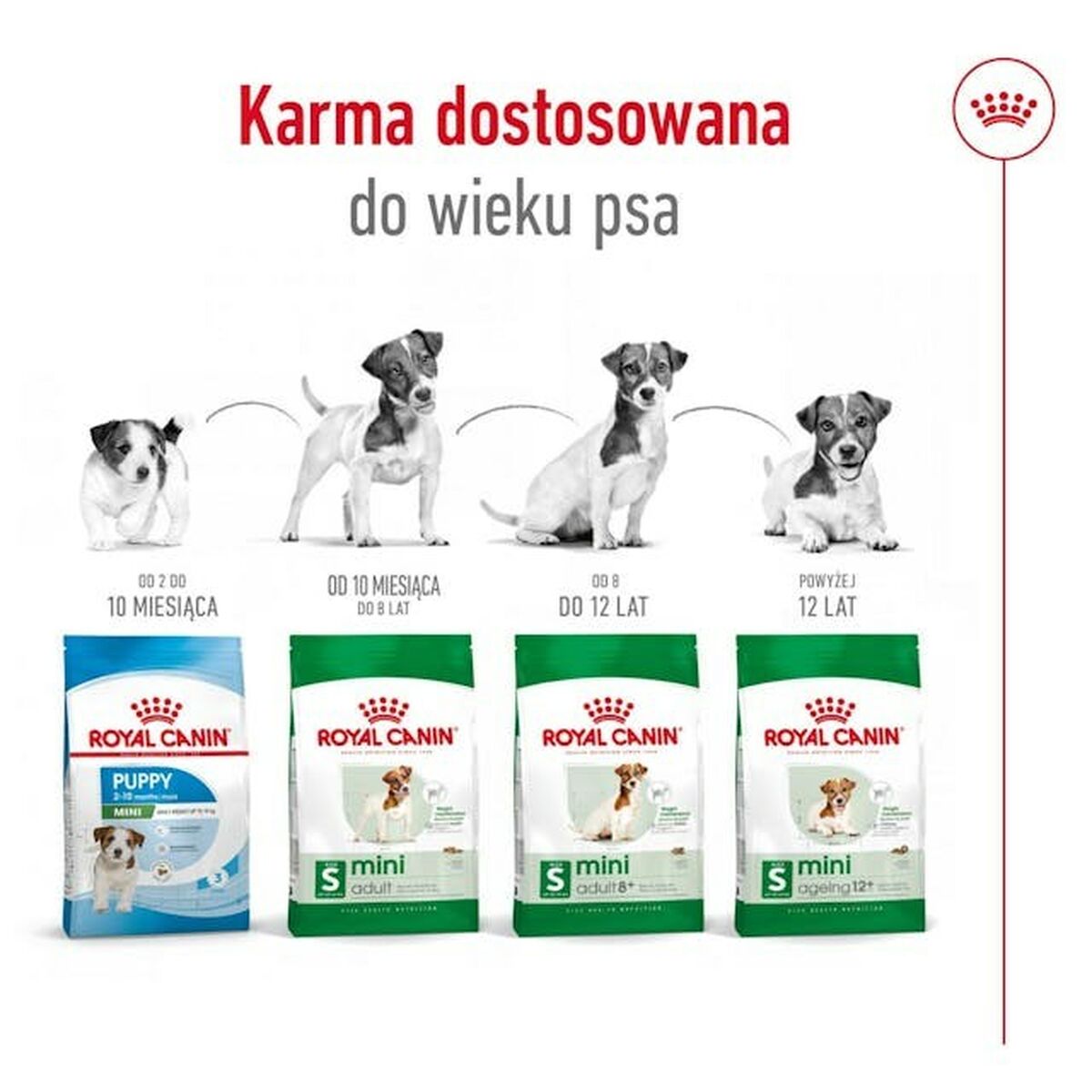 Fodder Royal Canin Adult Mini S Birds 4 Kg-4