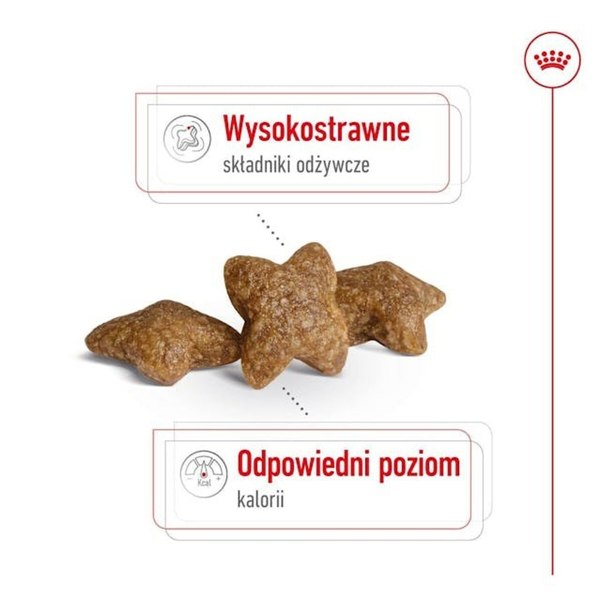Fodder Royal Canin Adult Mini S Birds 4 Kg-3