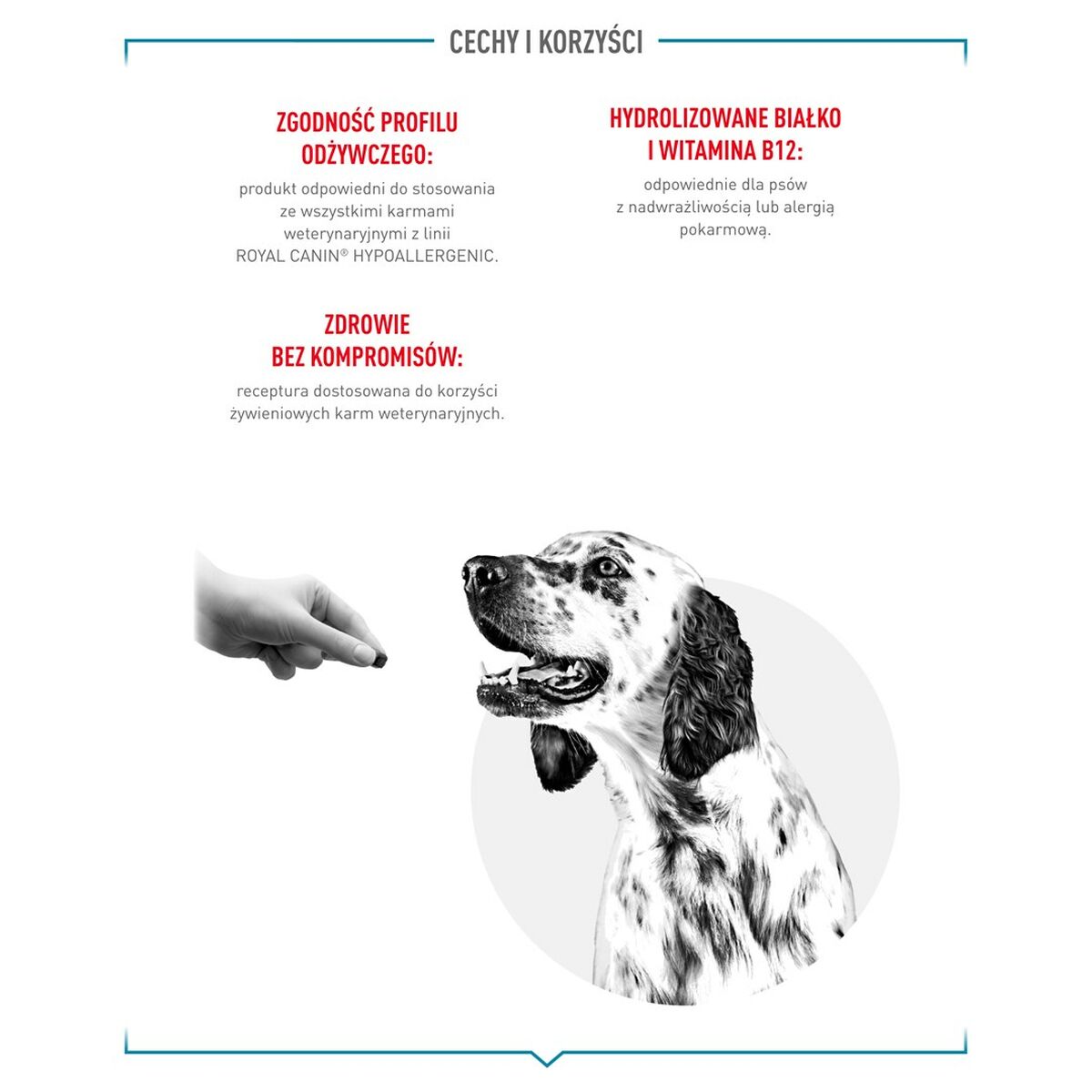 Dog Snack Royal Canin Hypoallergenic Treats 230 g