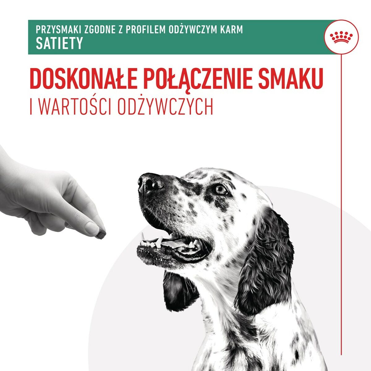 Dog Snack Royal Canin Dog Satiety Treats 230 g