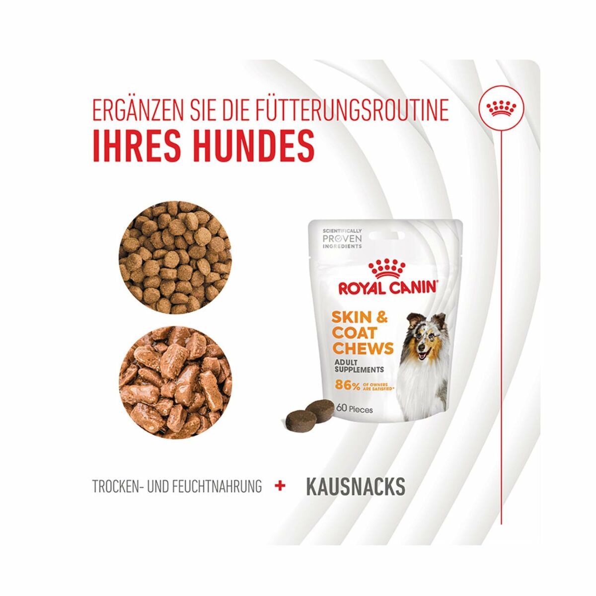 Dog Snack Royal Canin 240 g