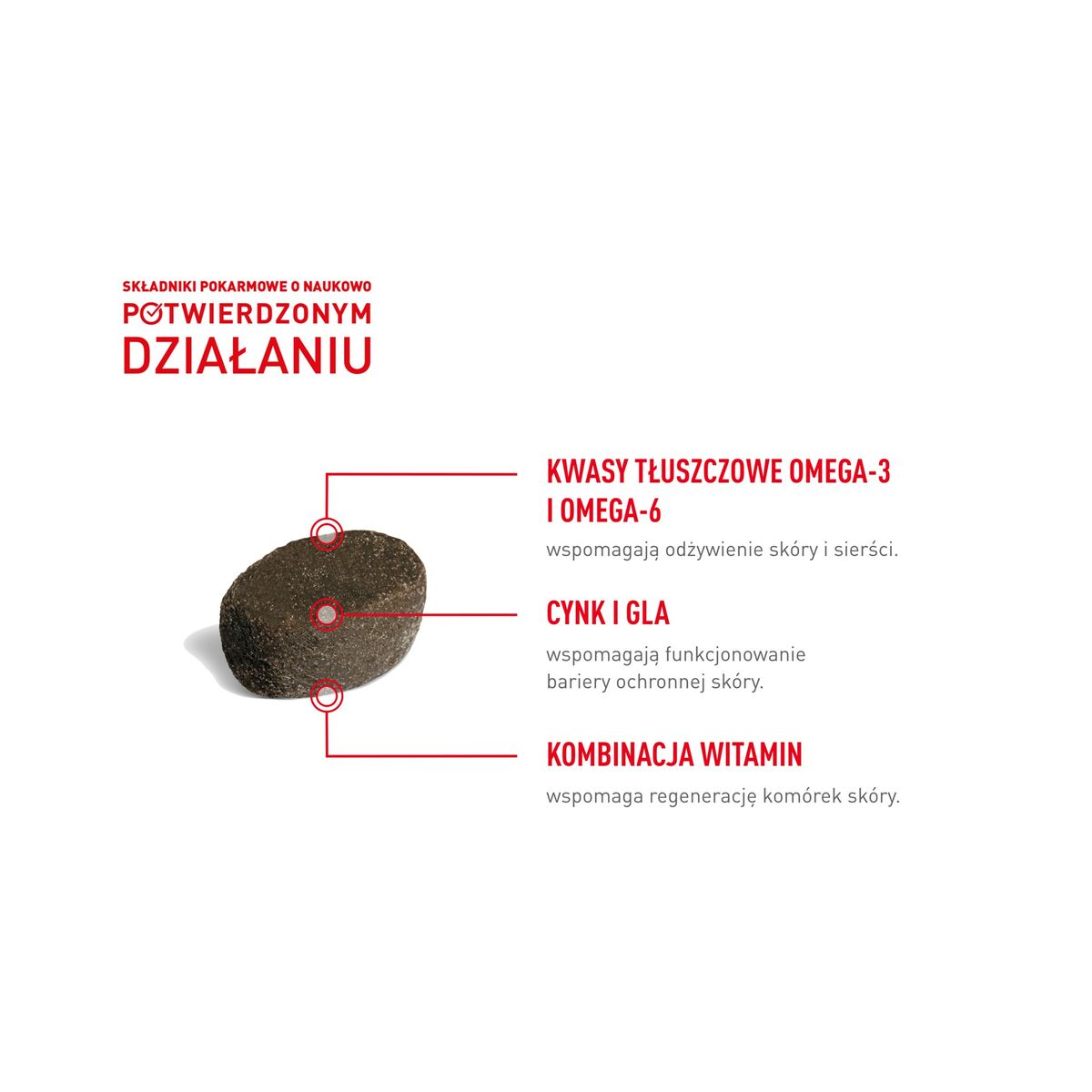 Dog Snack Royal Canin 240 g