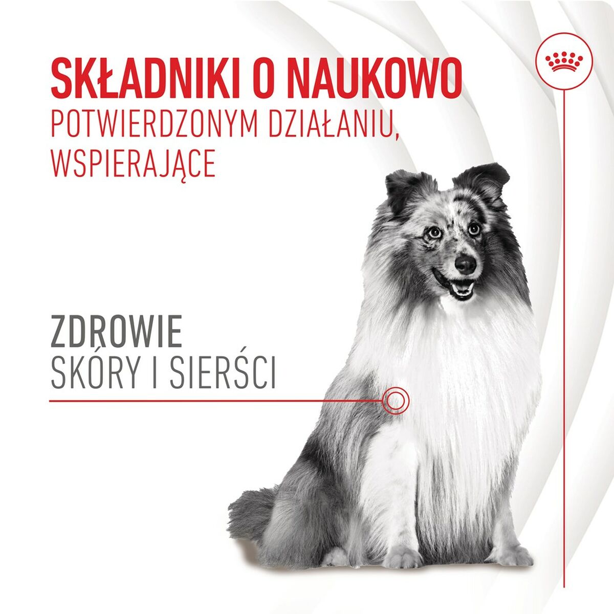 Dog Snack Royal Canin 240 g
