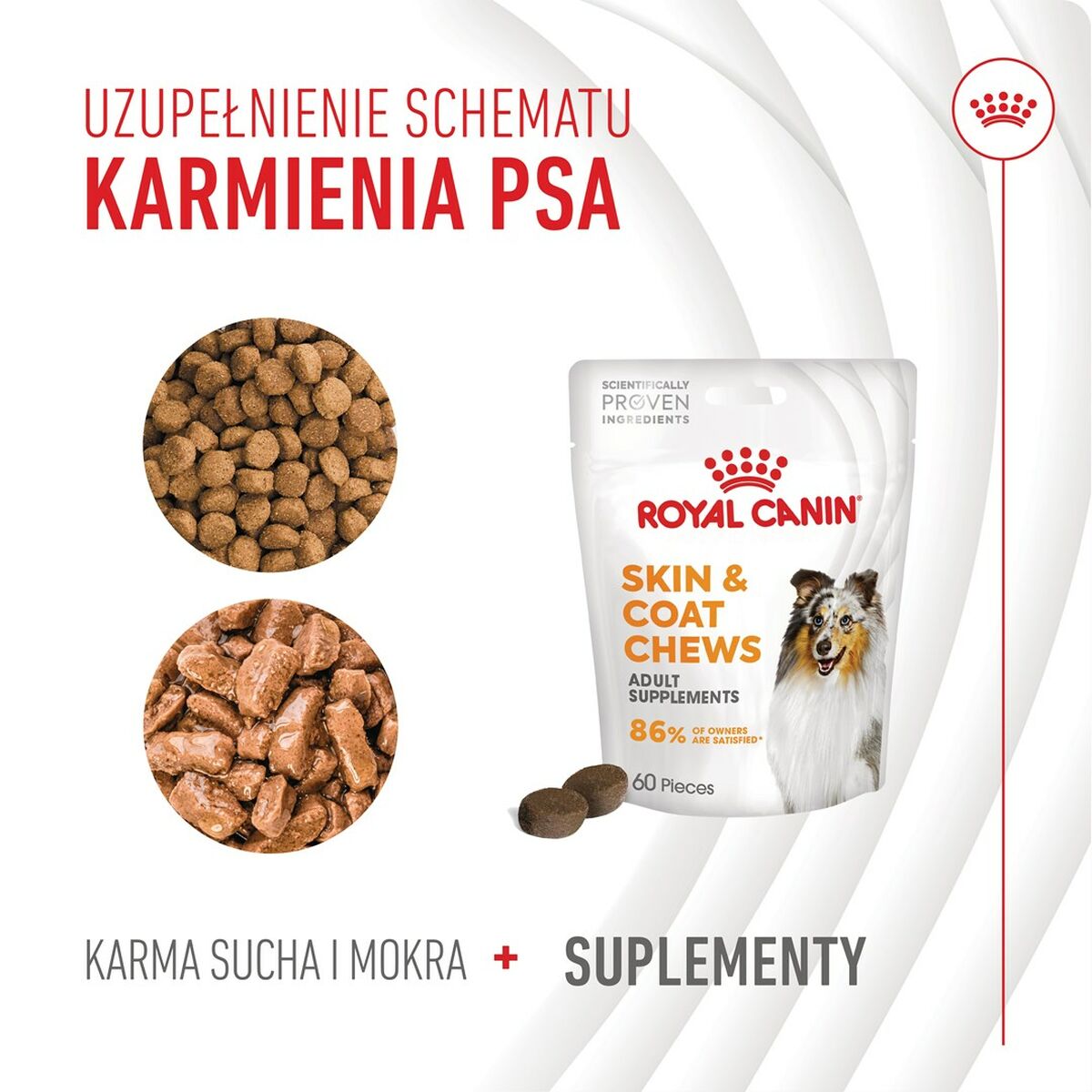 Dog Snack Royal Canin 240 g
