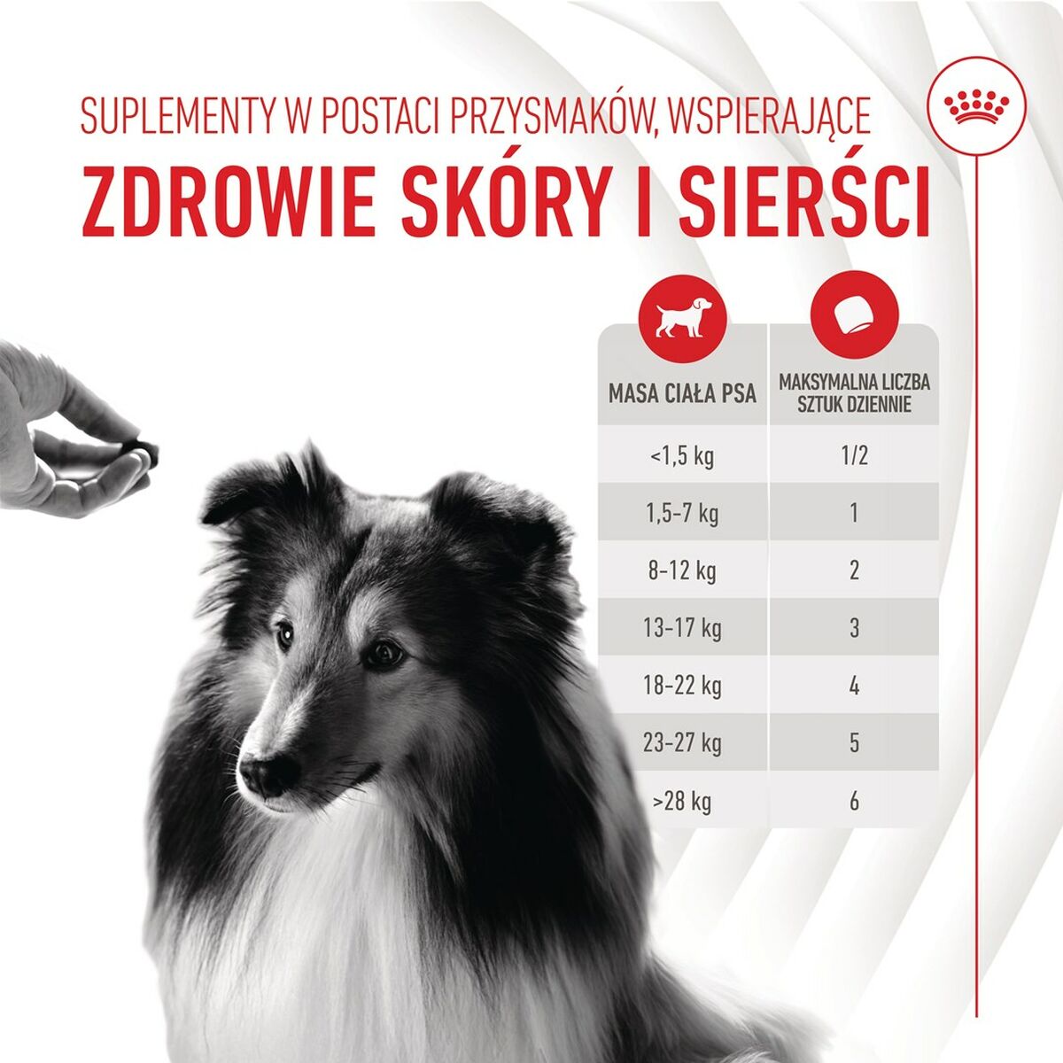 Dog Snack Royal Canin 240 g