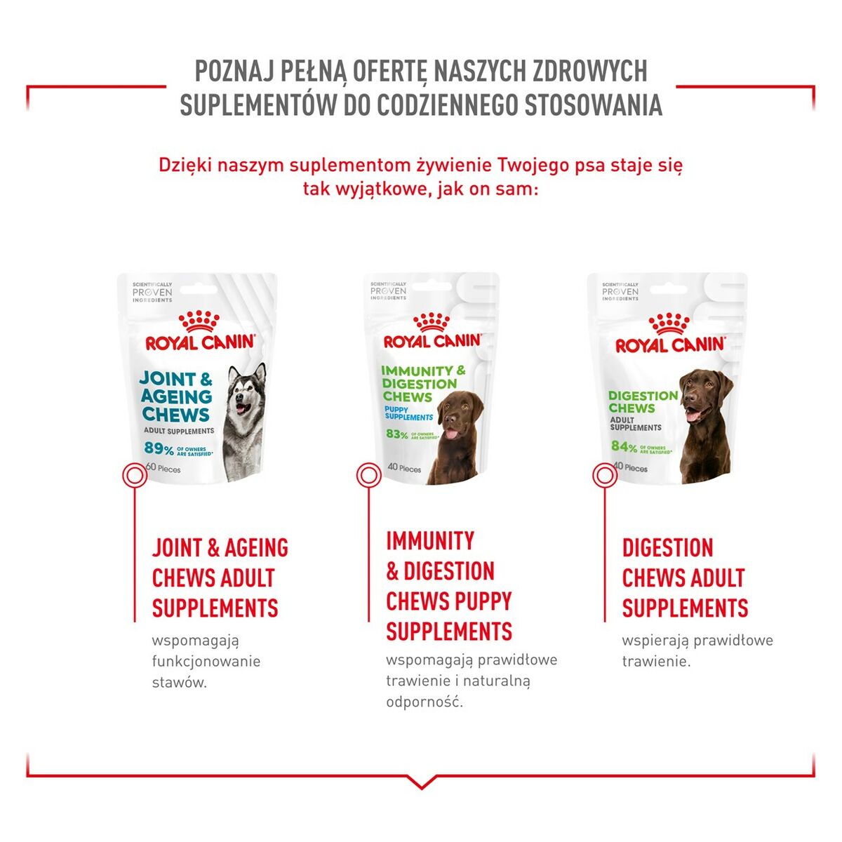 Dog Snack Royal Canin 240 g