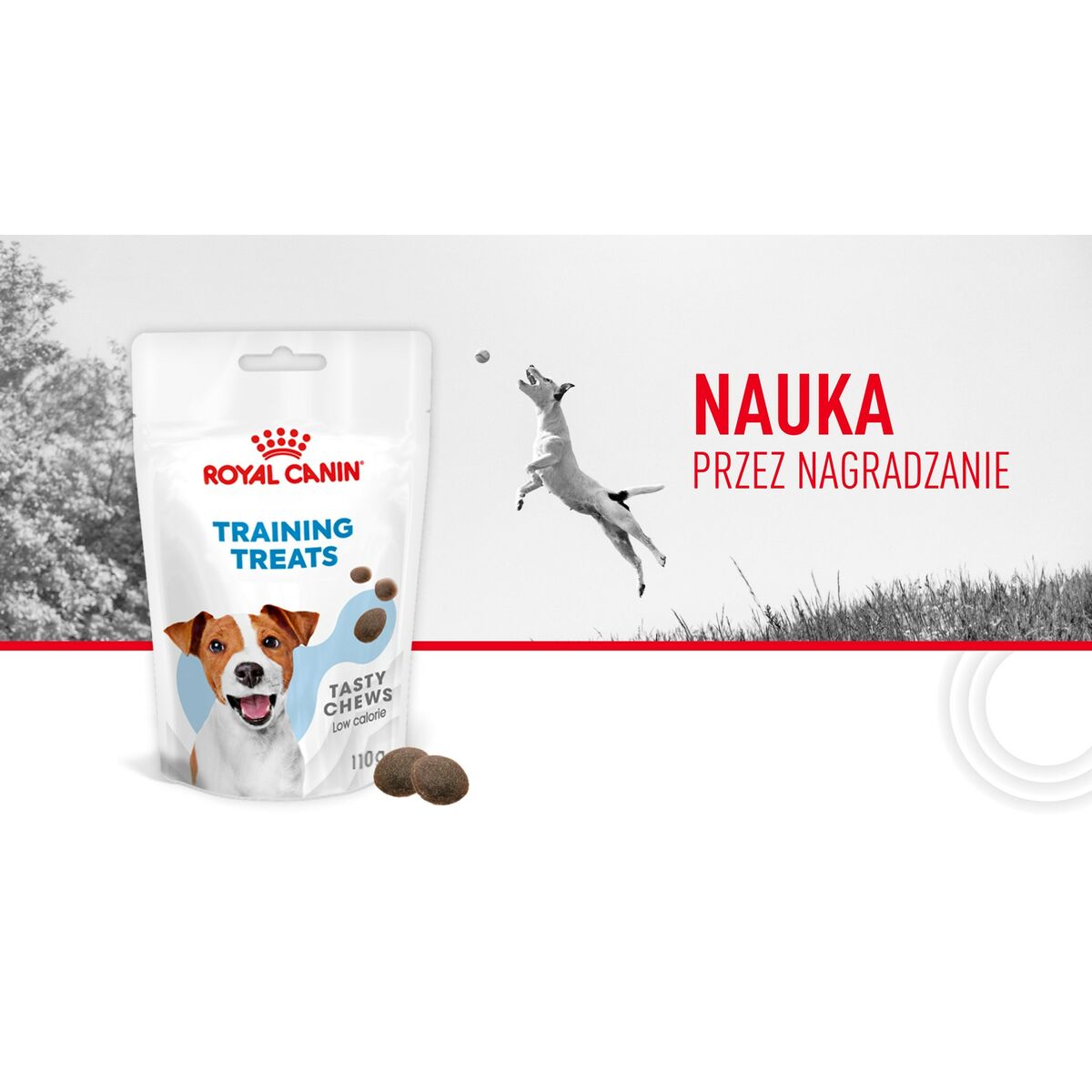 Dog Snack Royal Canin Training Treats 110 g