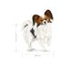 Fodder Royal Canin Birds 1,5 Kg