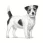 Fodder Royal Canin