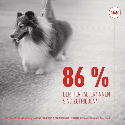 Dog Snack Royal Canin 240 g