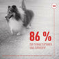 Dog Snack Royal Canin 240 g