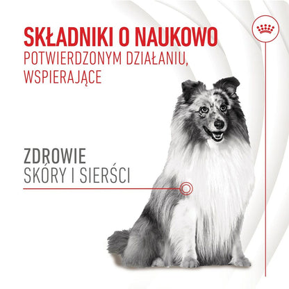 Dog Snack Royal Canin 240 g