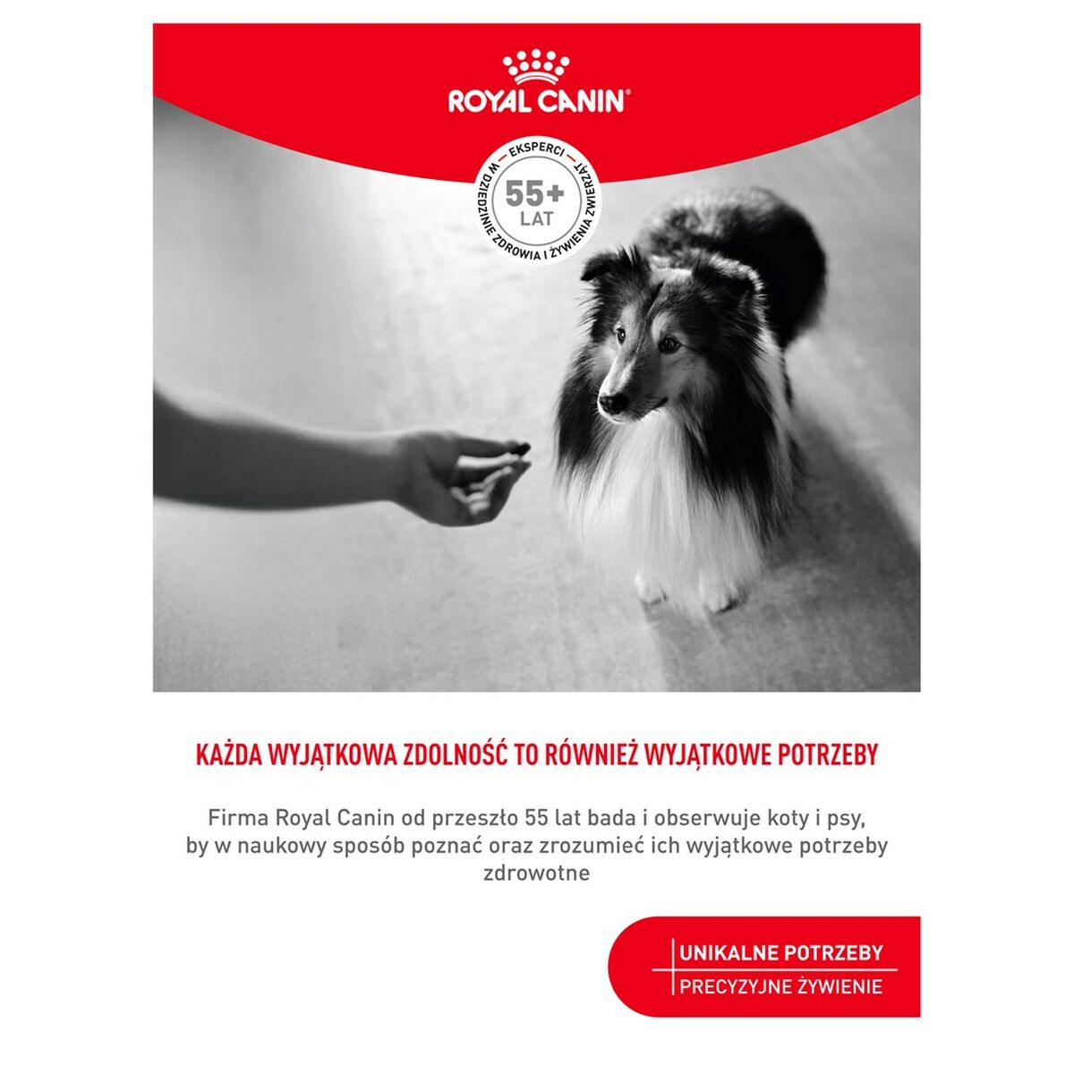 Dog Snack Royal Canin 240 g