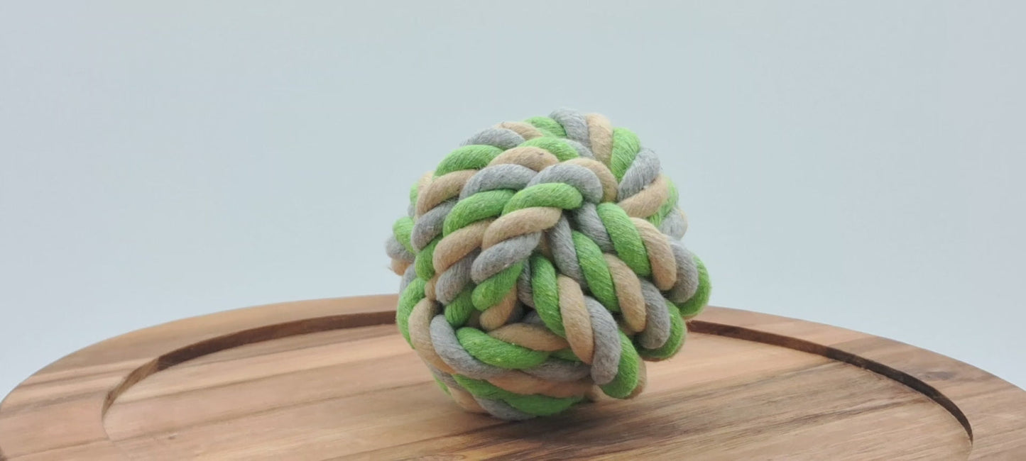 Fetch Ball