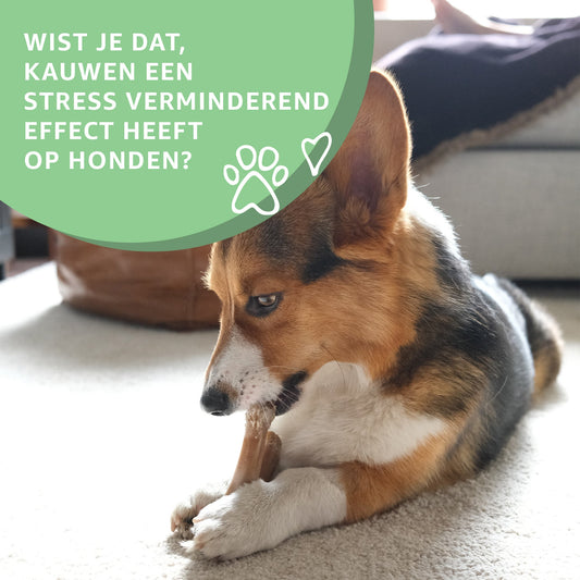 Buffelhuid